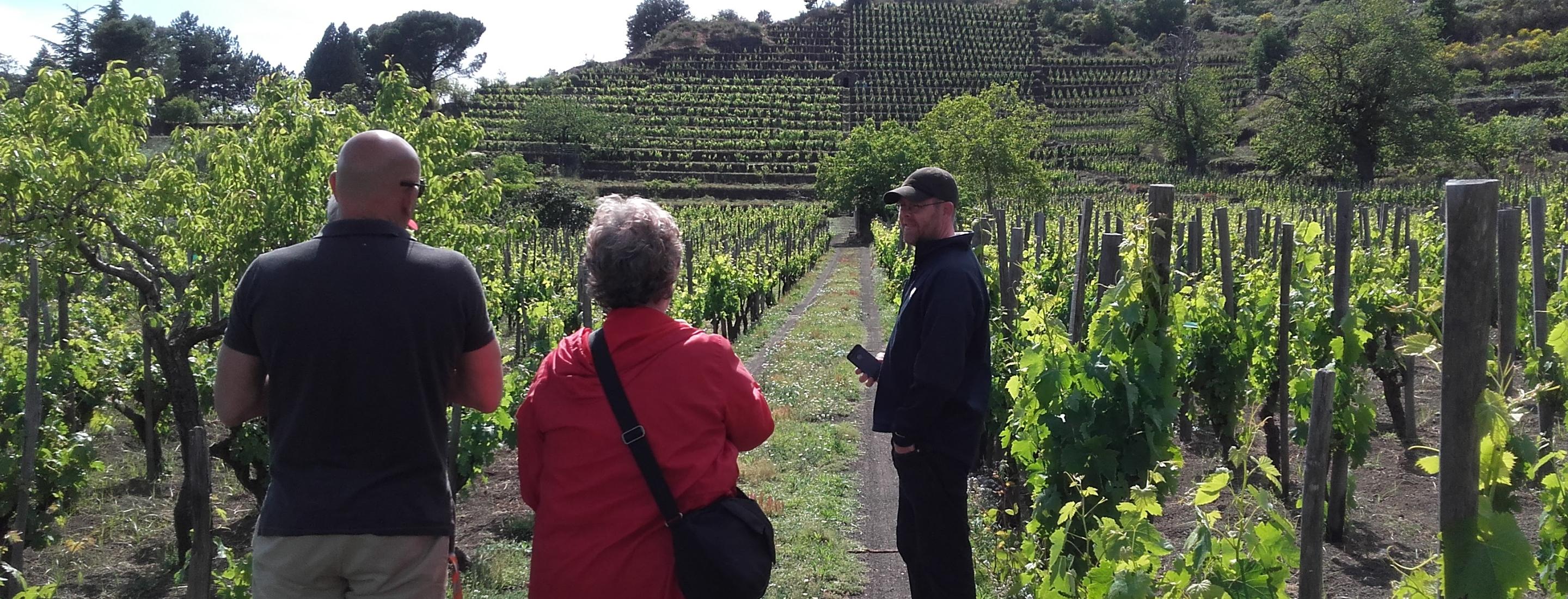 Etna wine tour