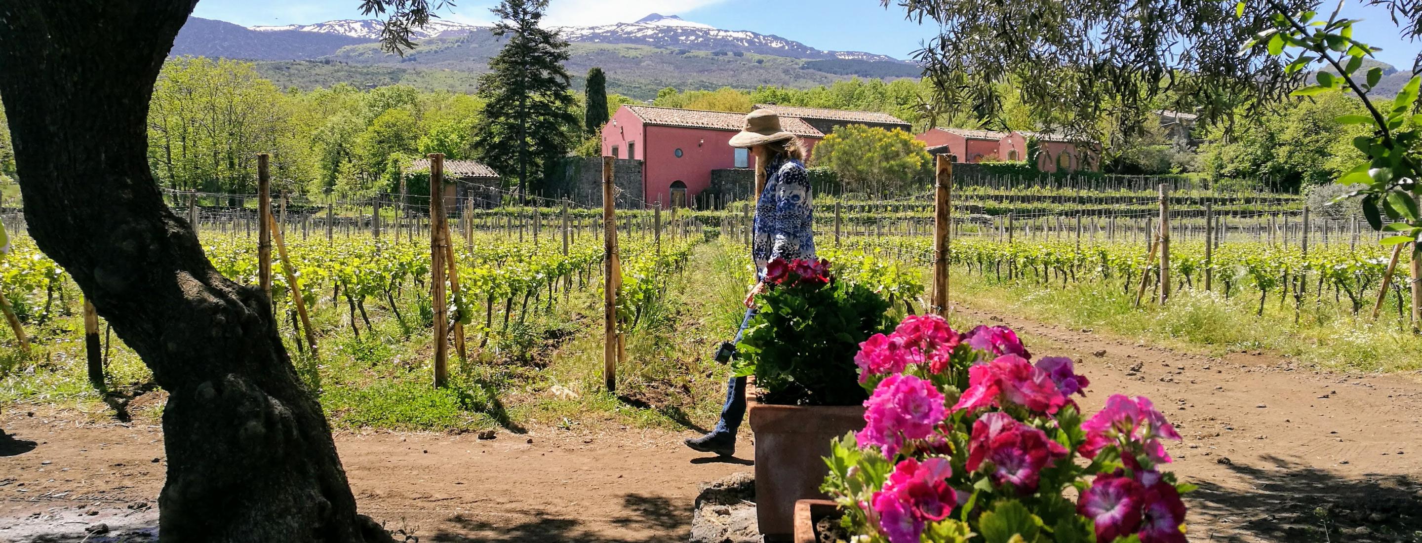 Etna wine tour