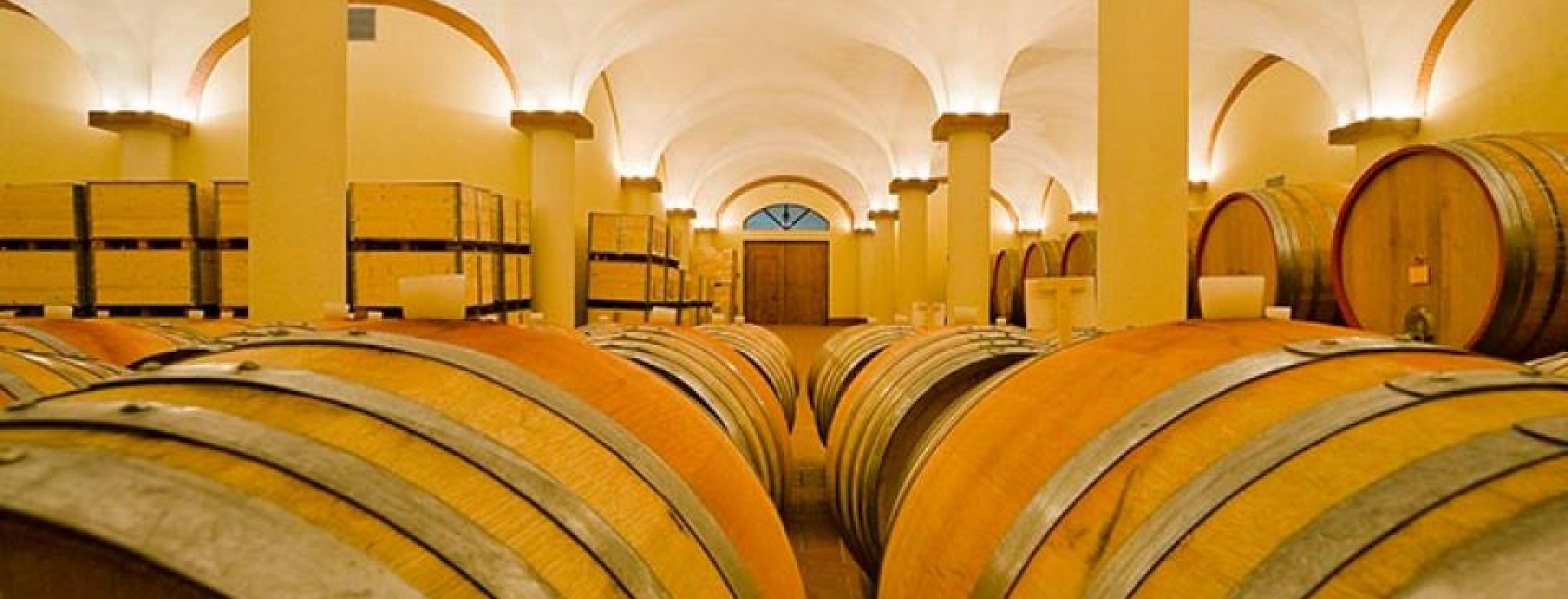 Barrels of Nero d'avola